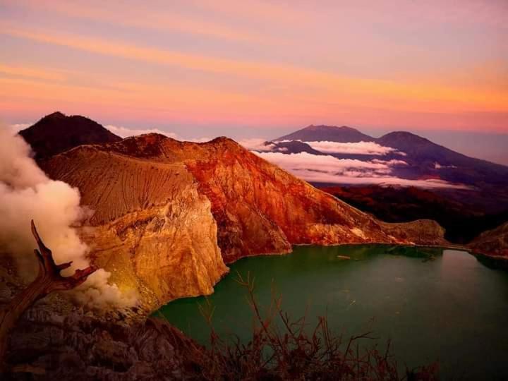 Javalindra Homestay Tour And Travel バニュワンギ エクステリア 写真