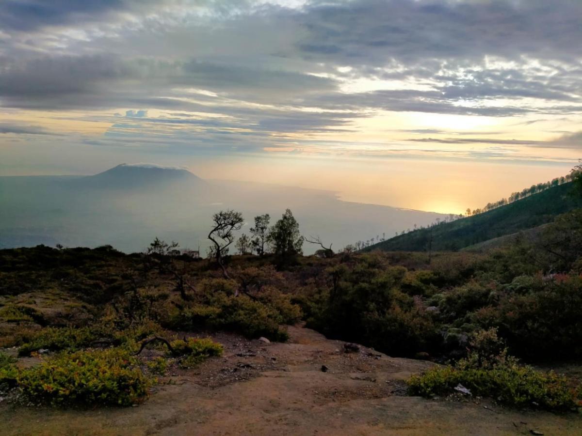 Javalindra Homestay Tour And Travel バニュワンギ エクステリア 写真