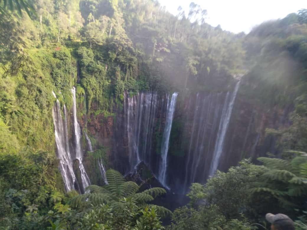 Javalindra Homestay Tour And Travel バニュワンギ エクステリア 写真