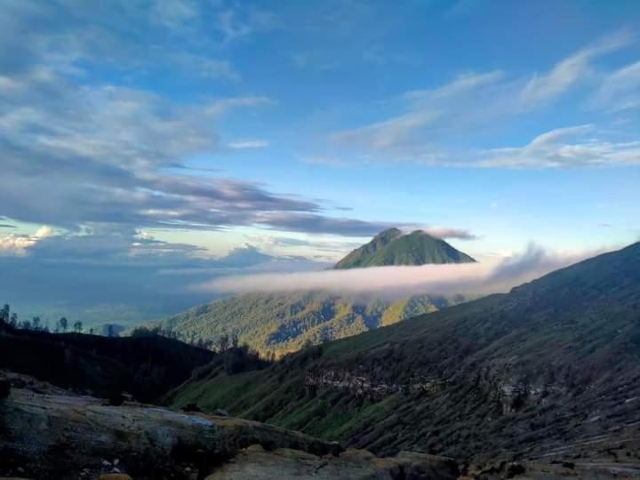 Javalindra Homestay Tour And Travel バニュワンギ エクステリア 写真
