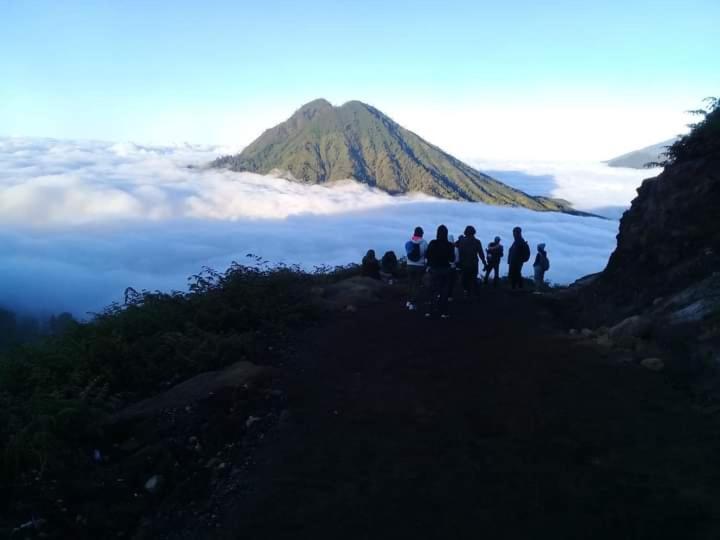 Javalindra Homestay Tour And Travel バニュワンギ エクステリア 写真