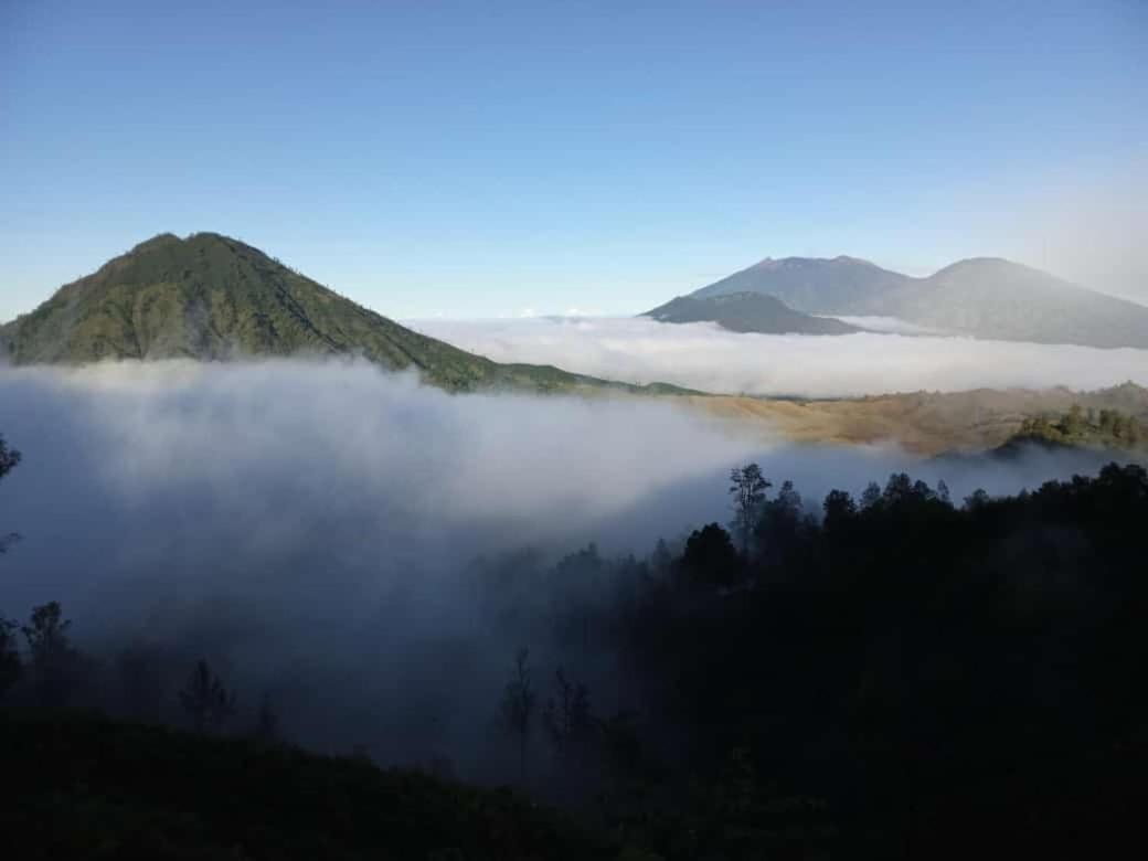 Javalindra Homestay Tour And Travel バニュワンギ エクステリア 写真