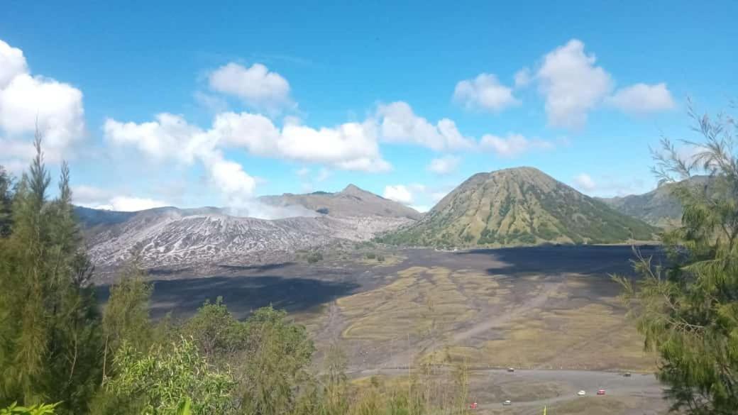 Javalindra Homestay Tour And Travel バニュワンギ エクステリア 写真