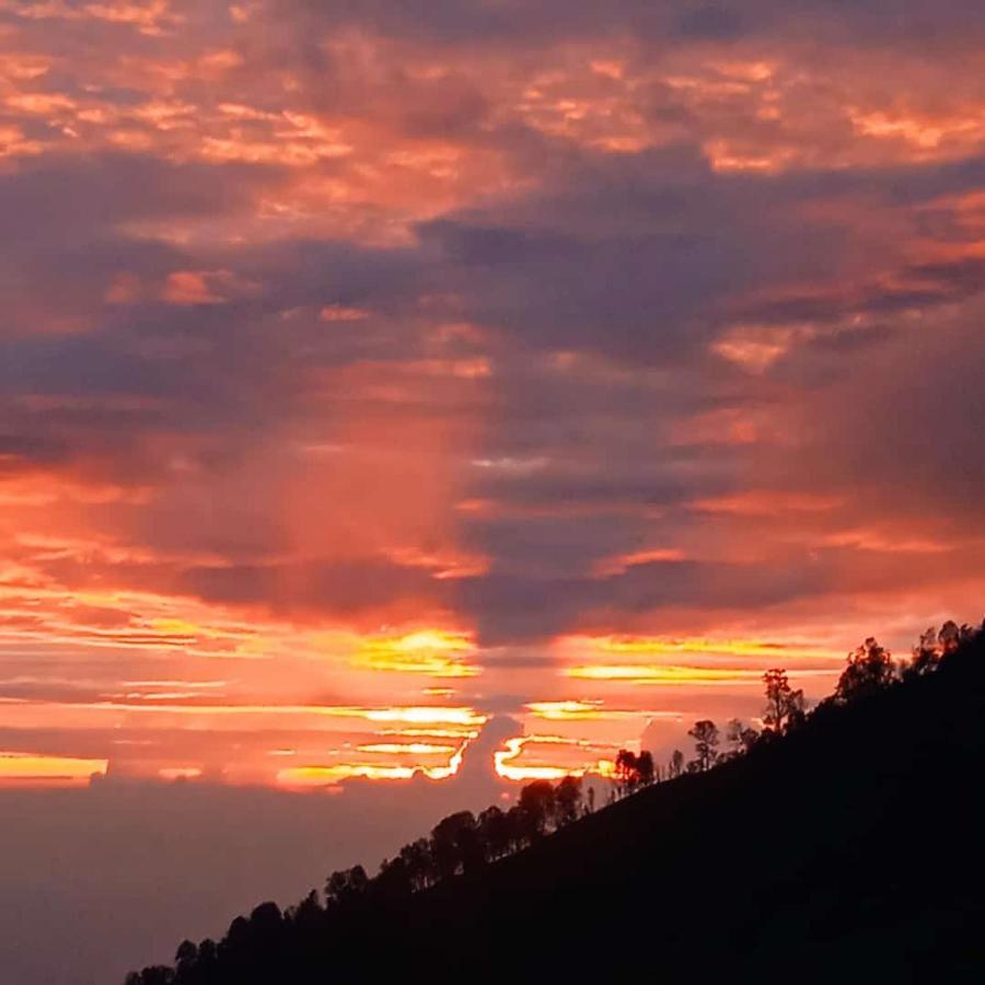Javalindra Homestay Tour And Travel バニュワンギ エクステリア 写真