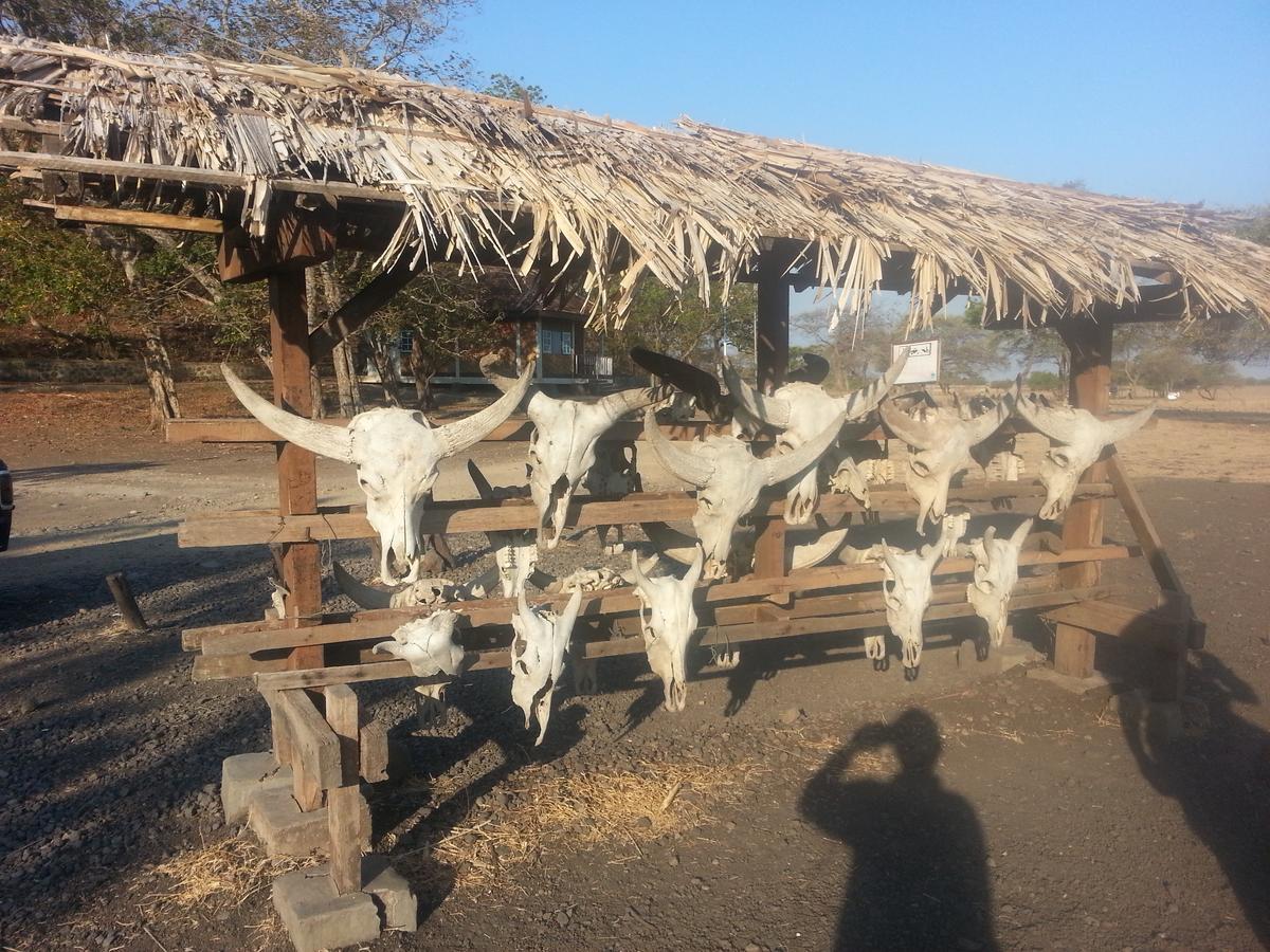 Javalindra Homestay Tour And Travel バニュワンギ エクステリア 写真