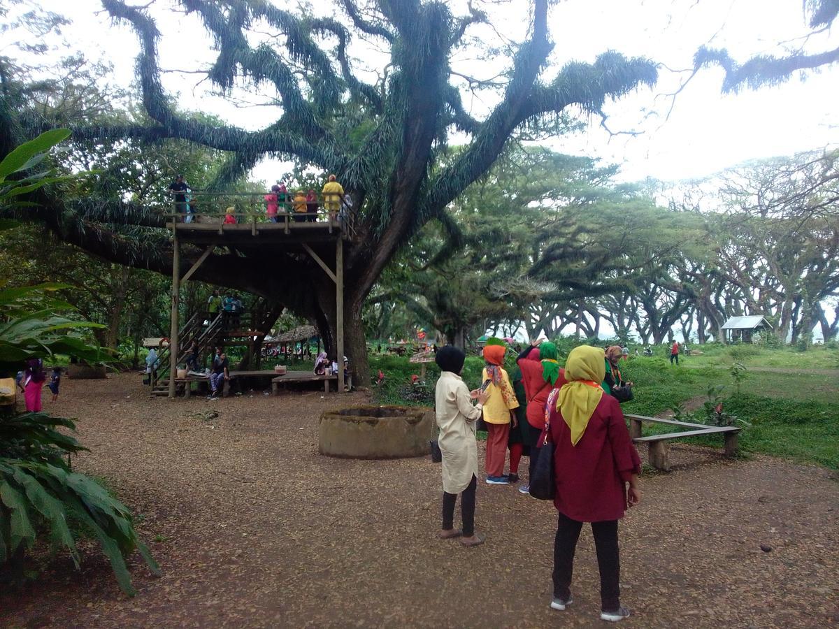 Javalindra Homestay Tour And Travel バニュワンギ エクステリア 写真